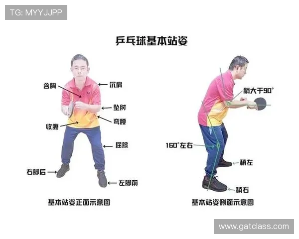 乒乓球新手必看攻略:轻松掌握基础技巧与配合入门方法