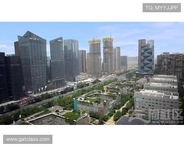 成都篮球队比赛经验揭秘:从训练到赛场的全景解析 成都篮球队比赛经验揭秘:从训练到赛场的全景解析