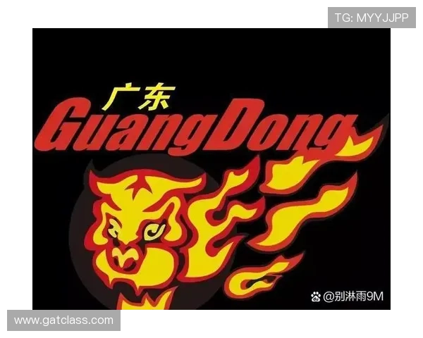 武汉篮球队在精英赛中以85分高居积分榜首位展现强劲实力