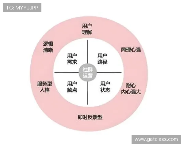 深入分析北京篮球队的运营策略与市场推广模式