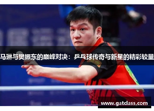 马琳与樊振东的巅峰对决：乒乓球传奇与新星的精彩较量