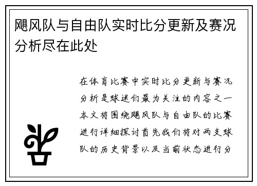 飓风队与自由队实时比分更新及赛况分析尽在此处